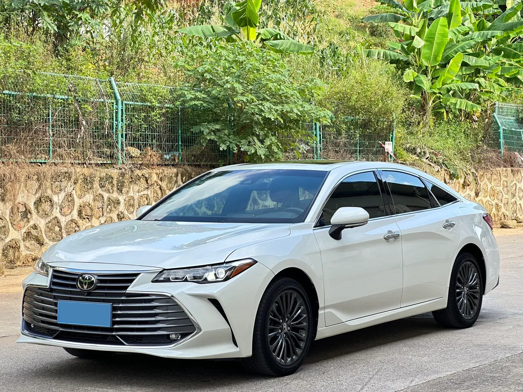2019 TOYOTA AVALON view 1