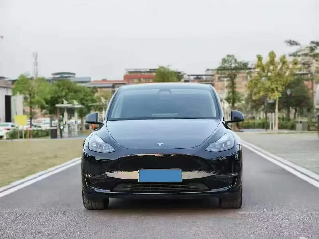 2021 TESLA MODEL thumbnail 2