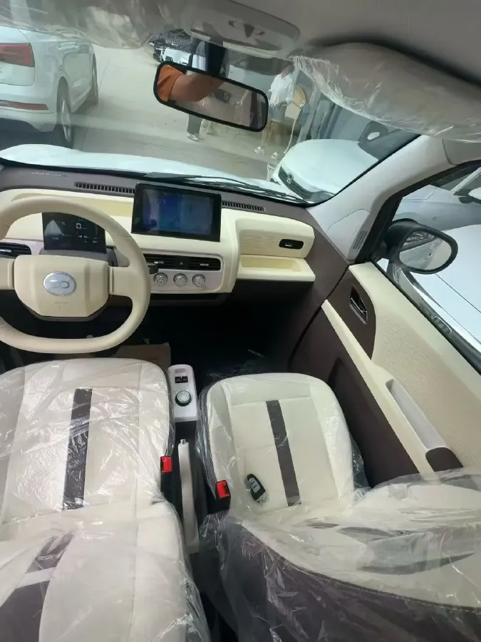 2024 ZD Rainbow BEV 17.3KWH,autocango,china used car exporter,china ev exporter,chinese used car exporter,chinese used ev exporter