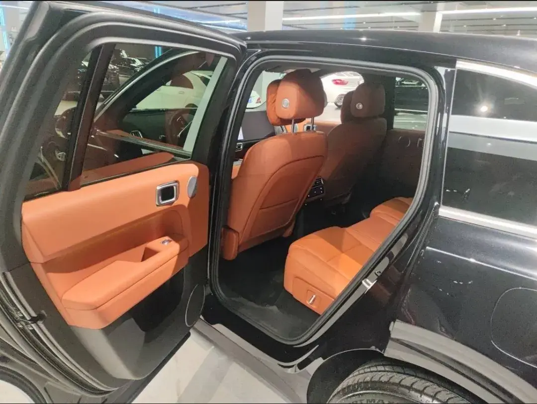 2025 LI L6 thumbnail 4