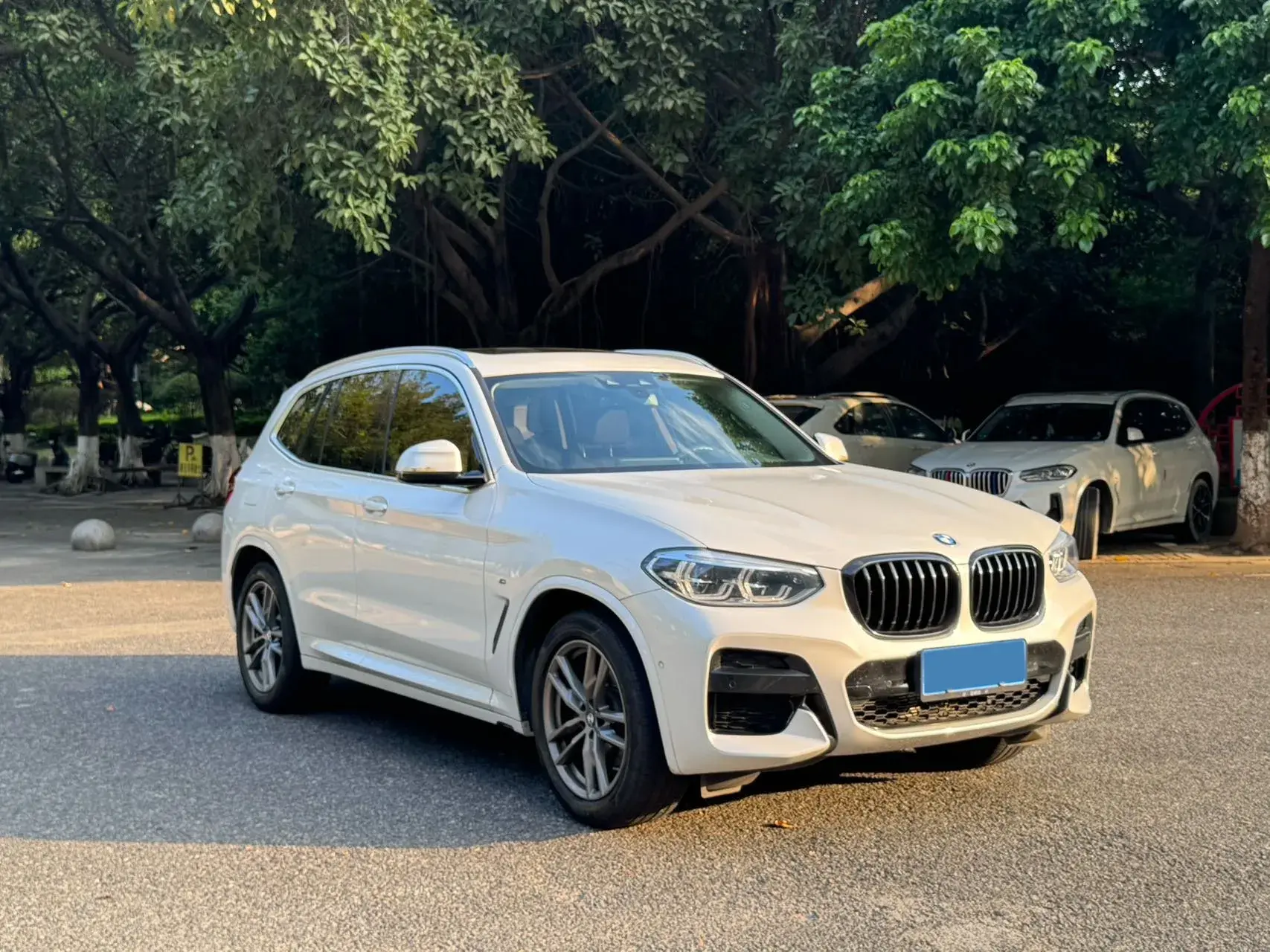 2021 BMW X3 thumbnail 3