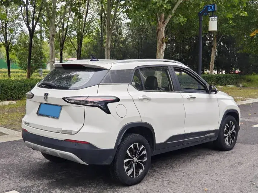 2019 BAOJUN 510 thumbnail 4