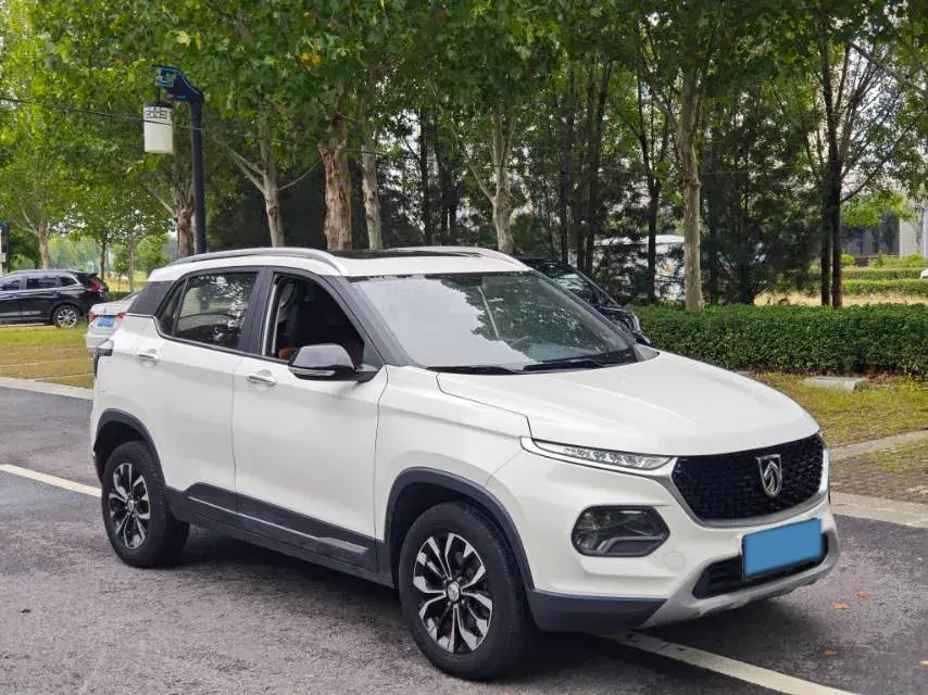 2019 BAOJUN 510 thumbnail 3