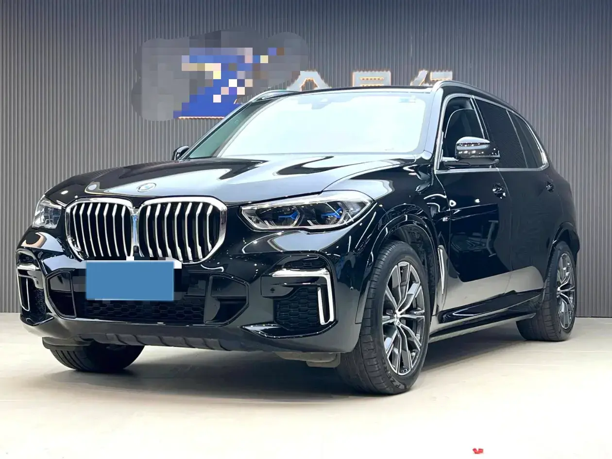 2022 BMW X5 view 1