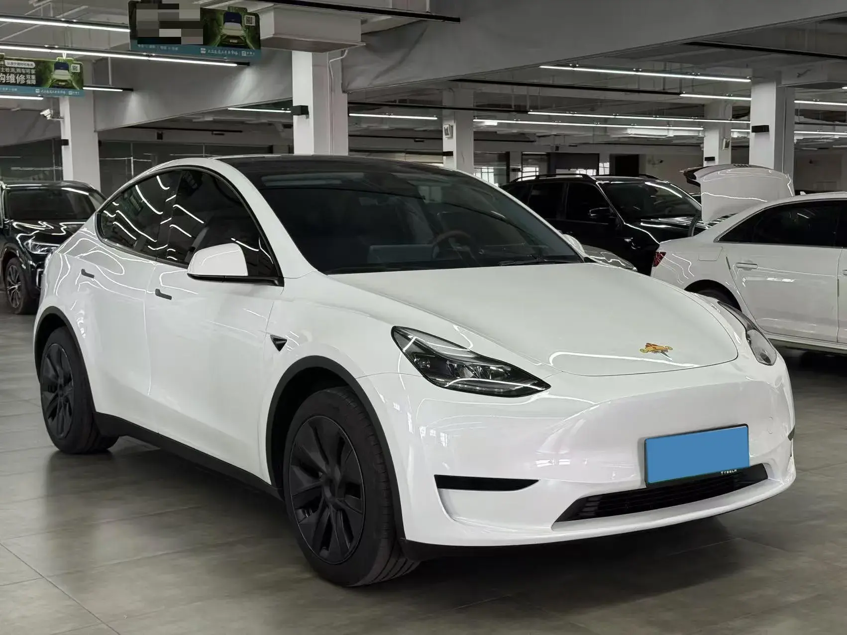 2023 TESLA MODEL thumbnail 3