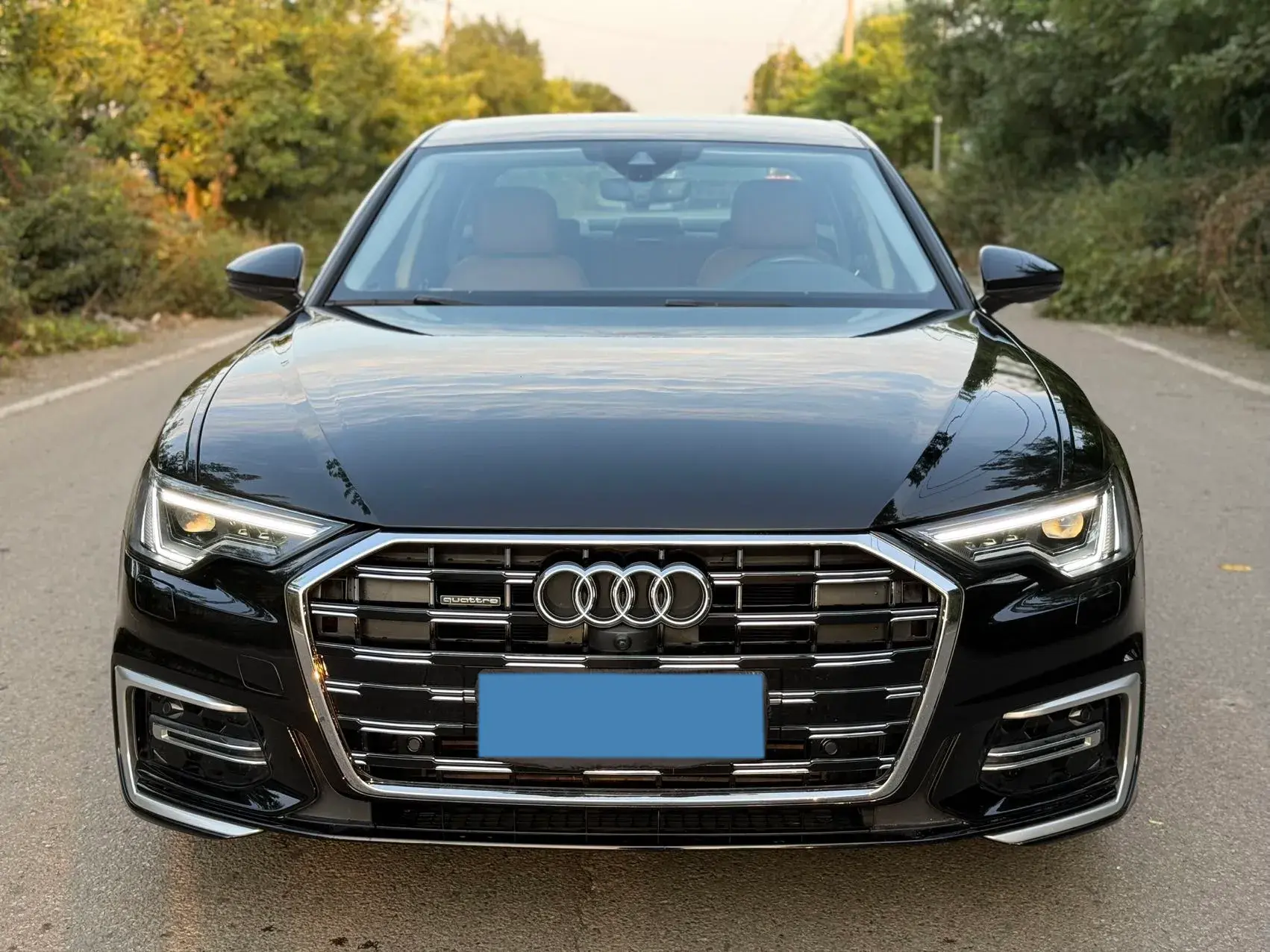 2019 AUDI A6L thumbnail 2