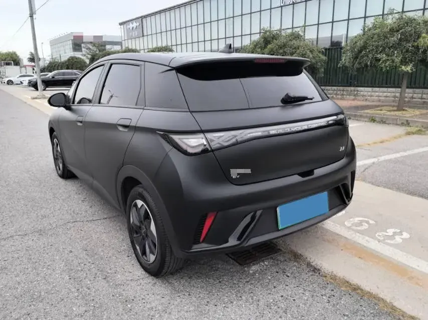 2024 BYD DOLPHIN thumbnail 4