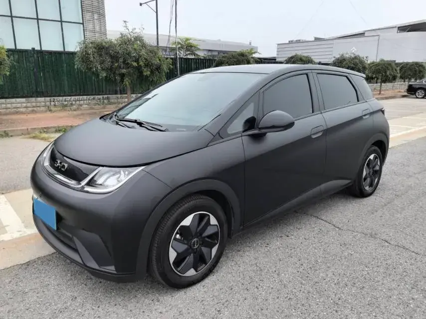 2024 BYD DOLPHIN view 1