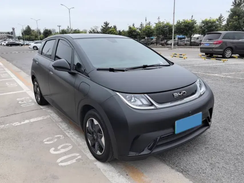 2024 BYD DOLPHIN thumbnail 2