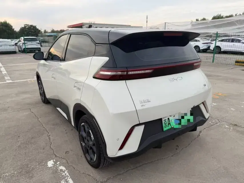 2024 BYD SEAGULL thumbnail 4