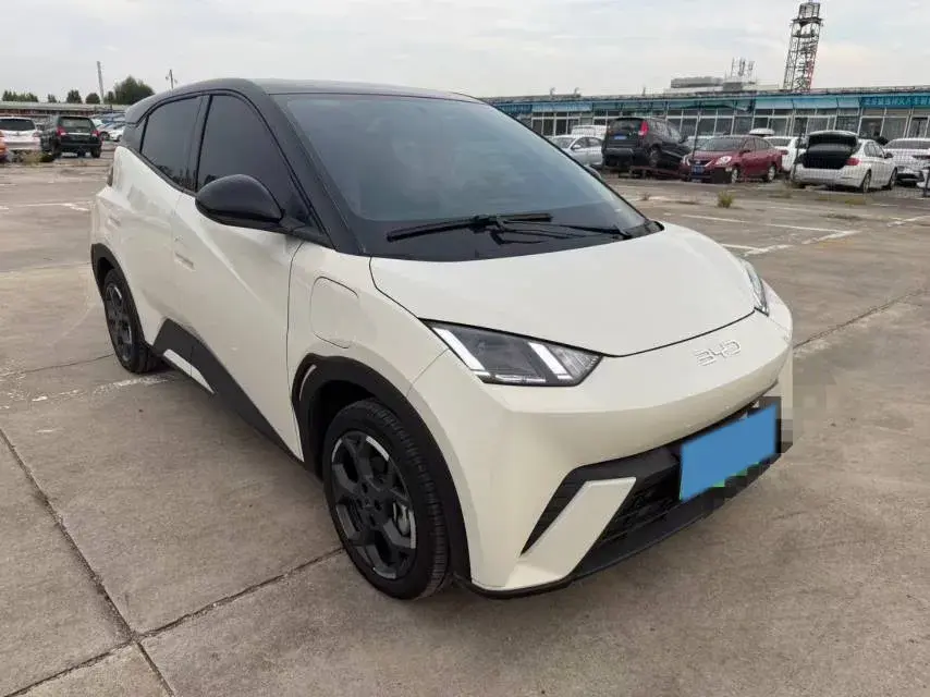 2024 BYD SEAGULL thumbnail 2