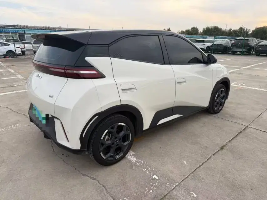 2024 BYD SEAGULL thumbnail 3