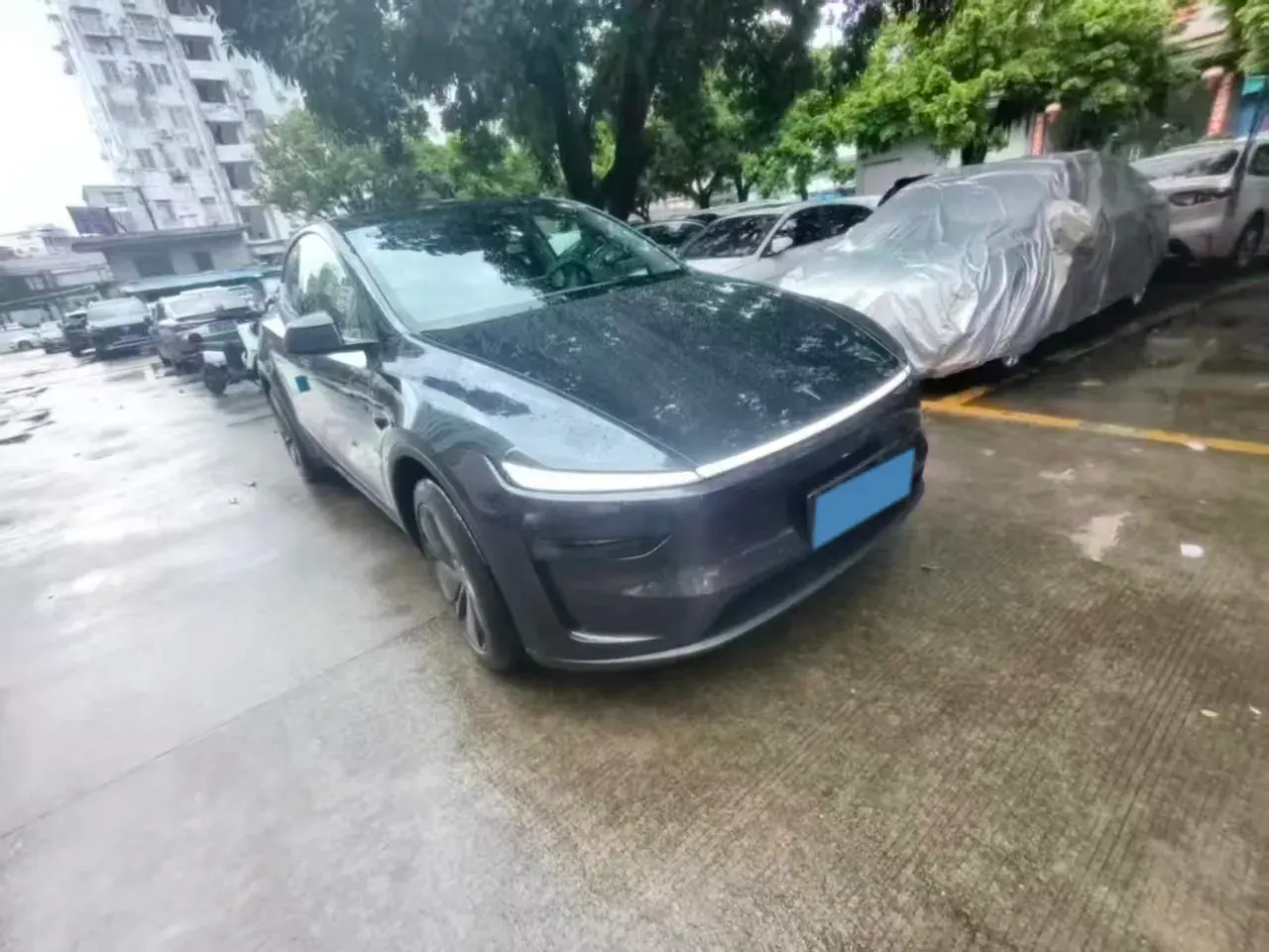 2025 TESLA MODEL thumbnail 2