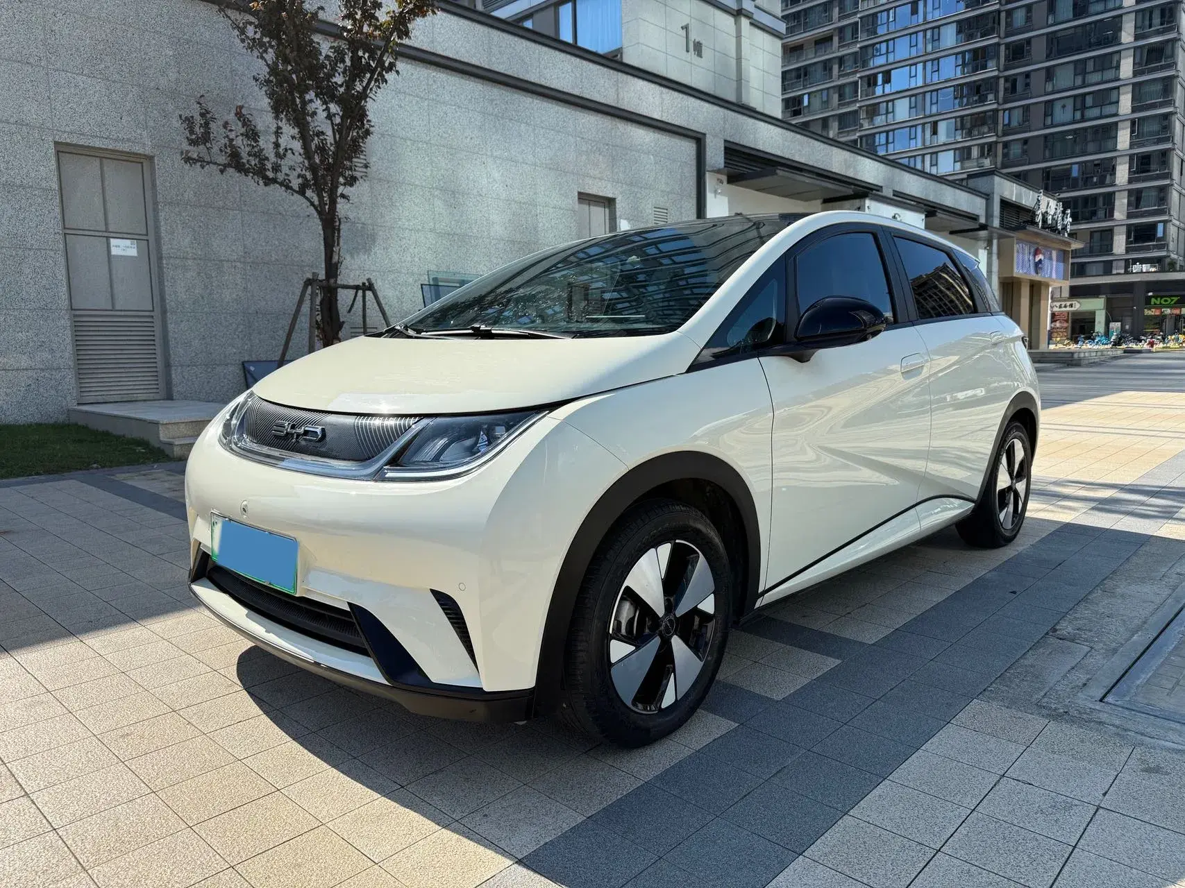 2023 BYD DOLPHIN view 1