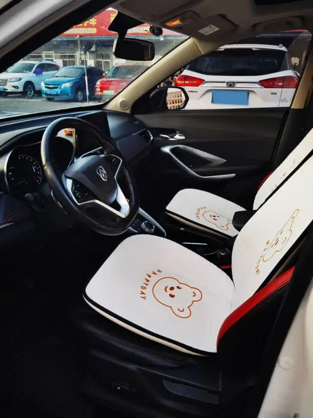 2019 BAOJUN 510 thumbnail 4