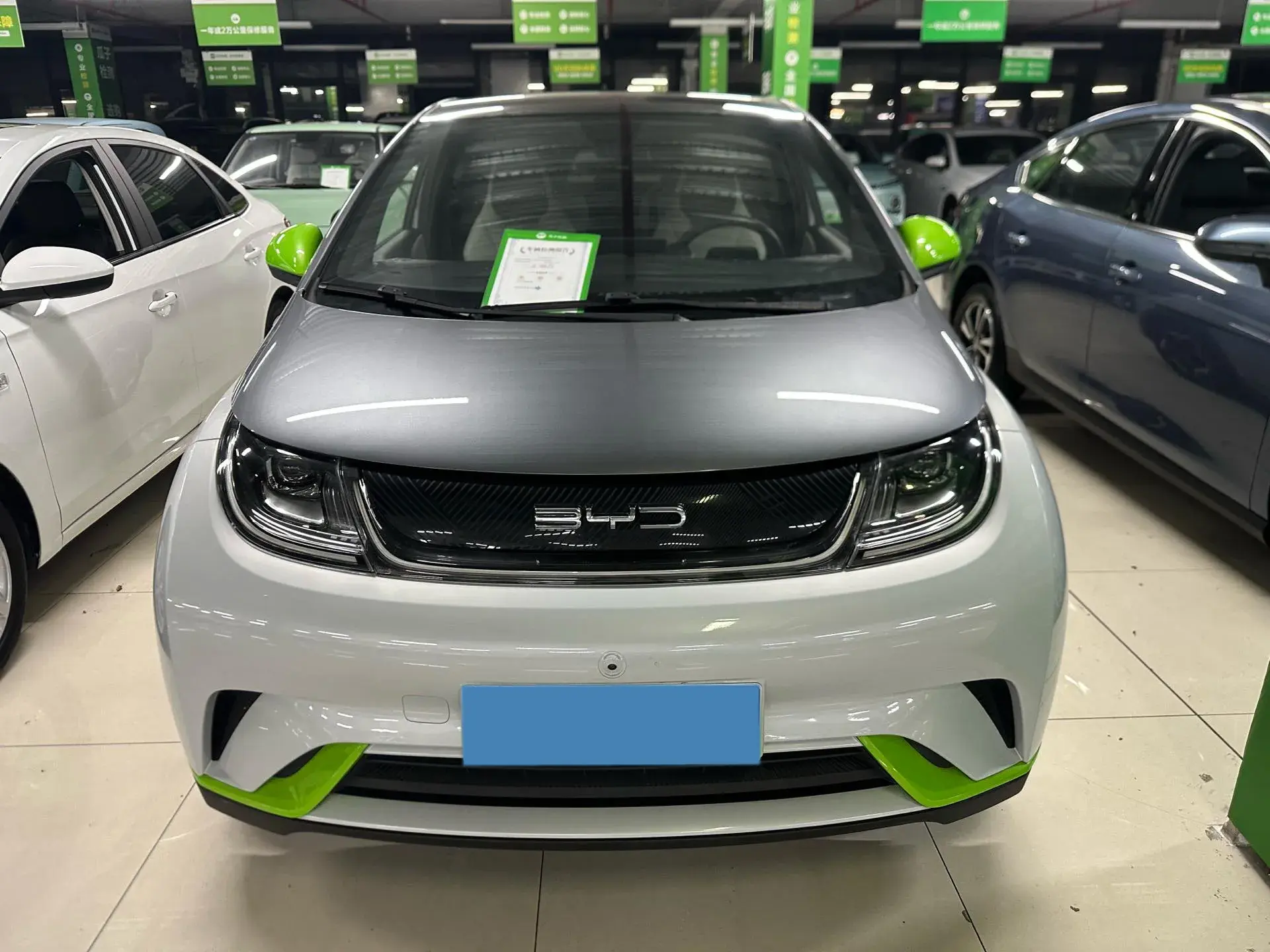 2021 BYD DOLPHIN thumbnail 2