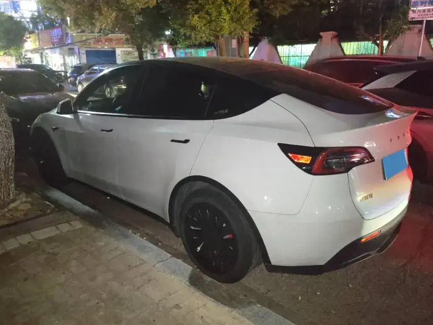 2021 TESLA MODEL thumbnail 4