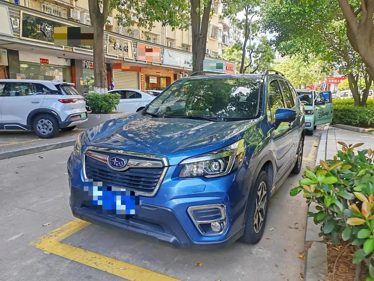 2019 SUBARU FORESTER view 1