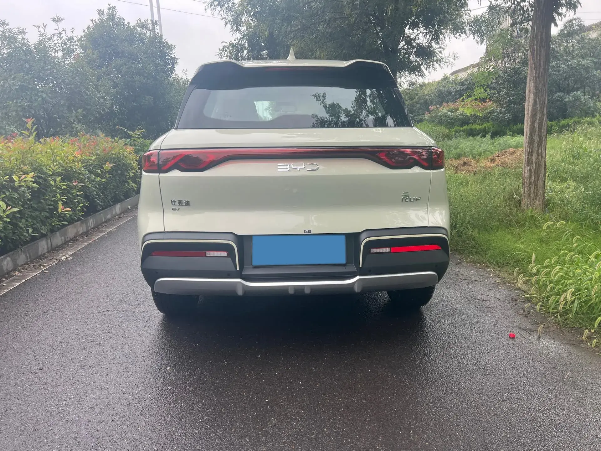 2025 BYD YUANUP thumbnail 4