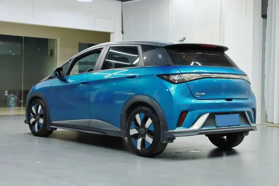 2021 BYD DOLPHIN thumbnail 3