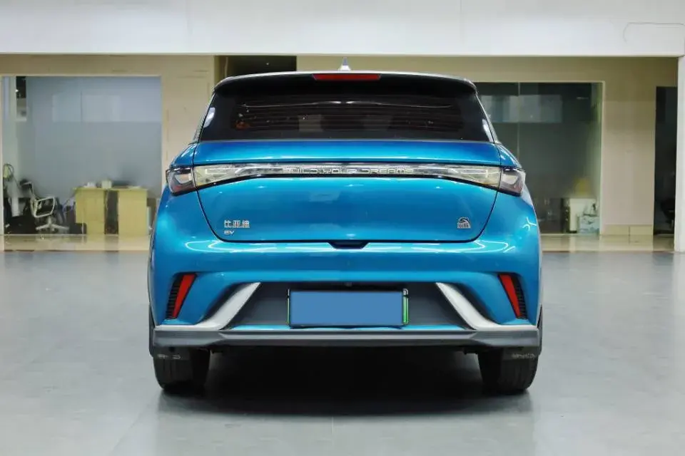 2021 BYD DOLPHIN thumbnail 4