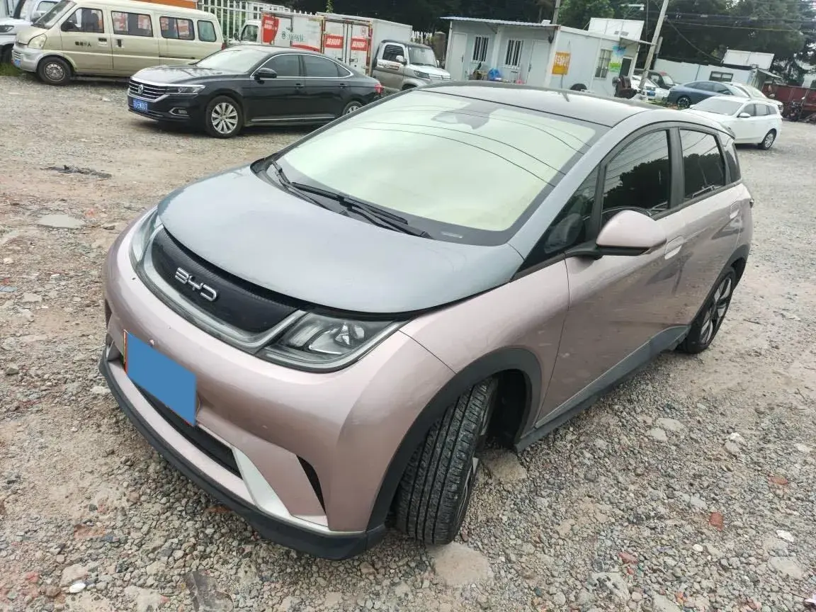 2021 BYD DOLPHIN view 1