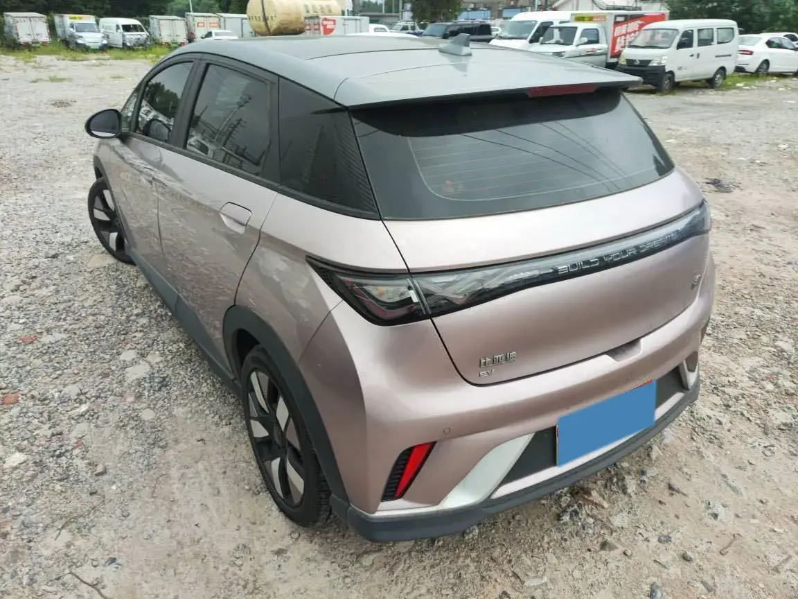 2021 BYD DOLPHIN thumbnail 4