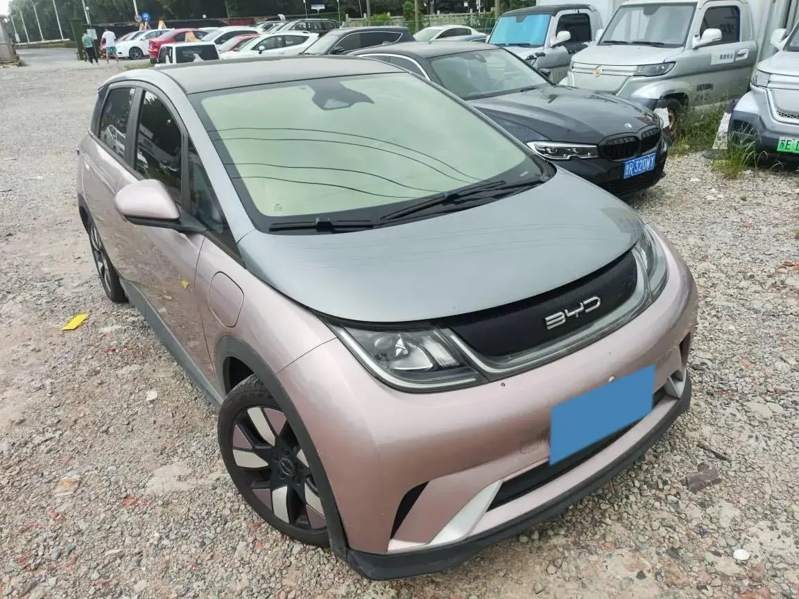 2021 BYD DOLPHIN thumbnail 3