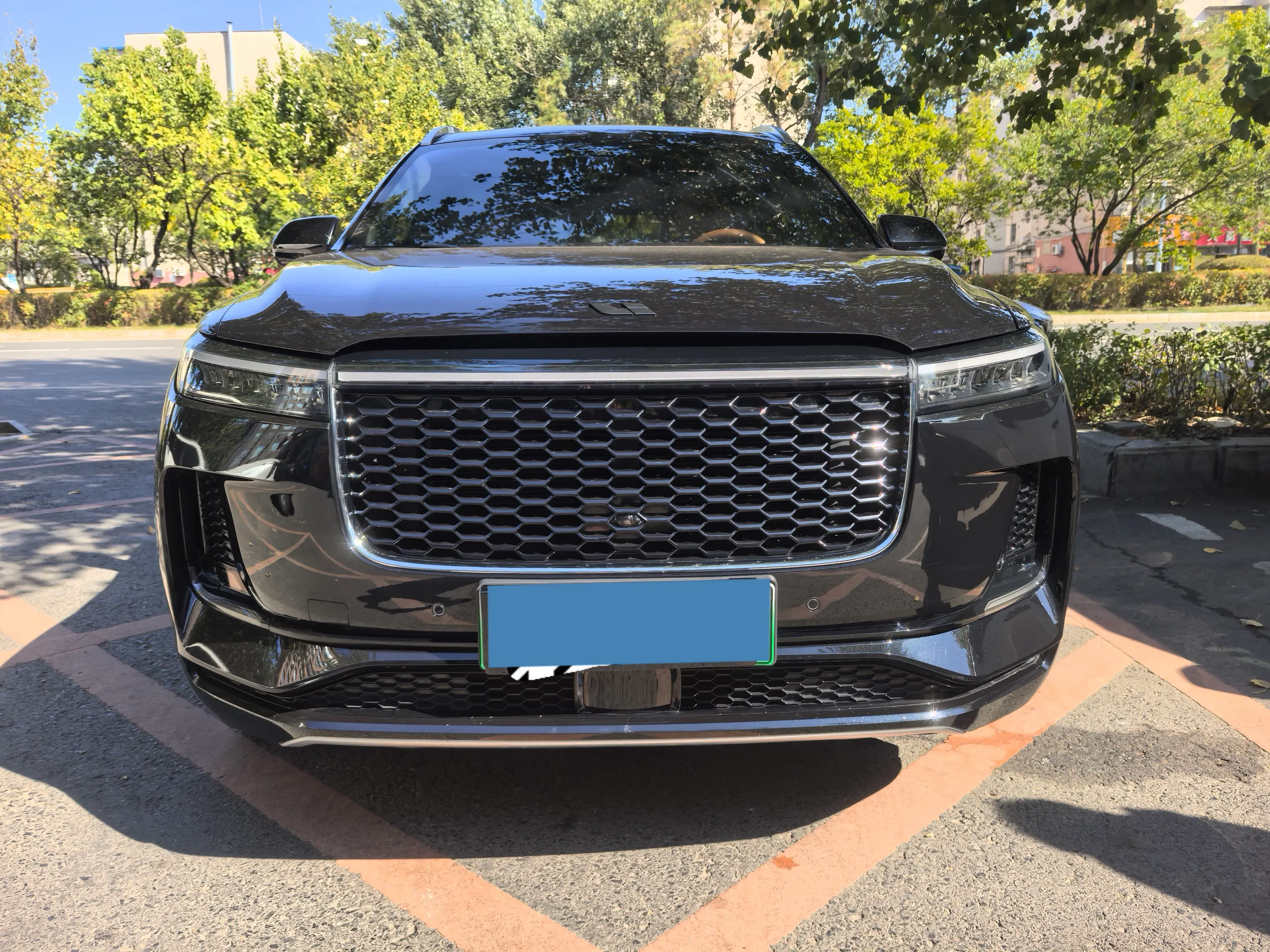 2021 LI ONE thumbnail 2