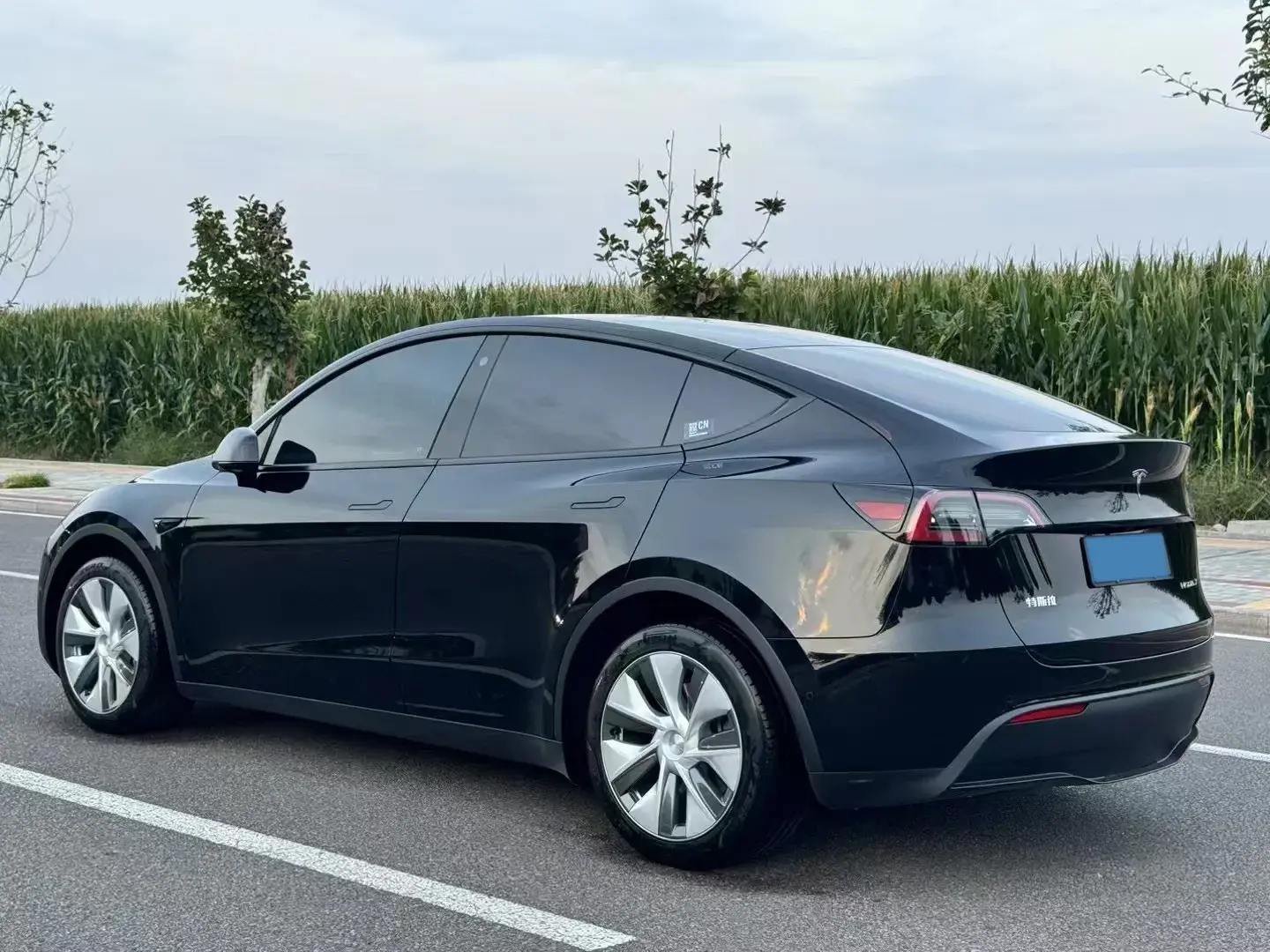 2022 TESLA MODEL thumbnail 4