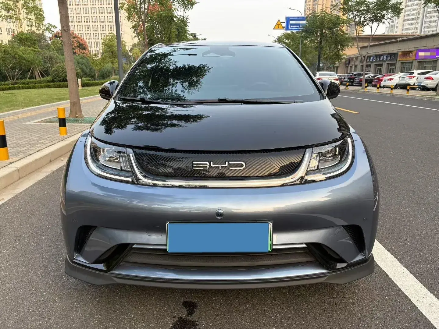 2023 BYD DOLPHIN thumbnail 2