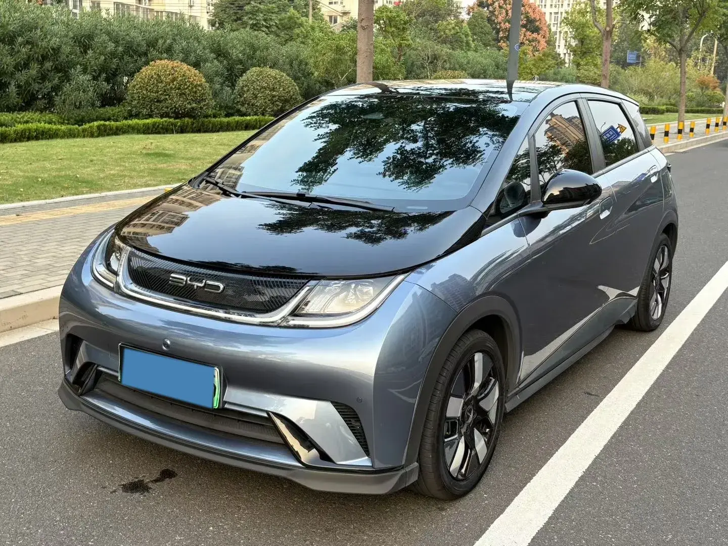 2023 BYD DOLPHIN view 1