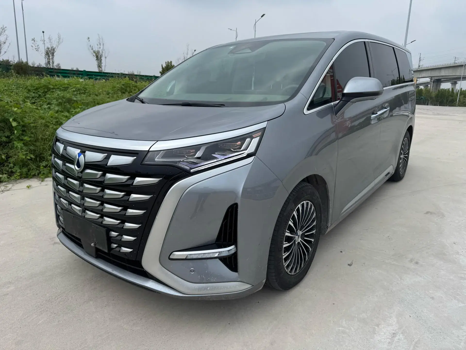 2022 DENZA D9 view 1