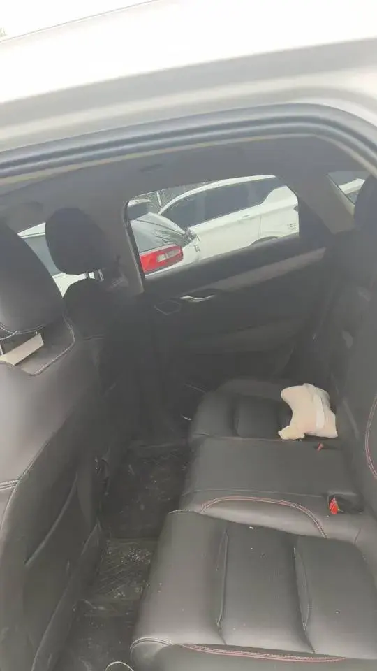 2021 GEELY TUGELLA thumbnail 4