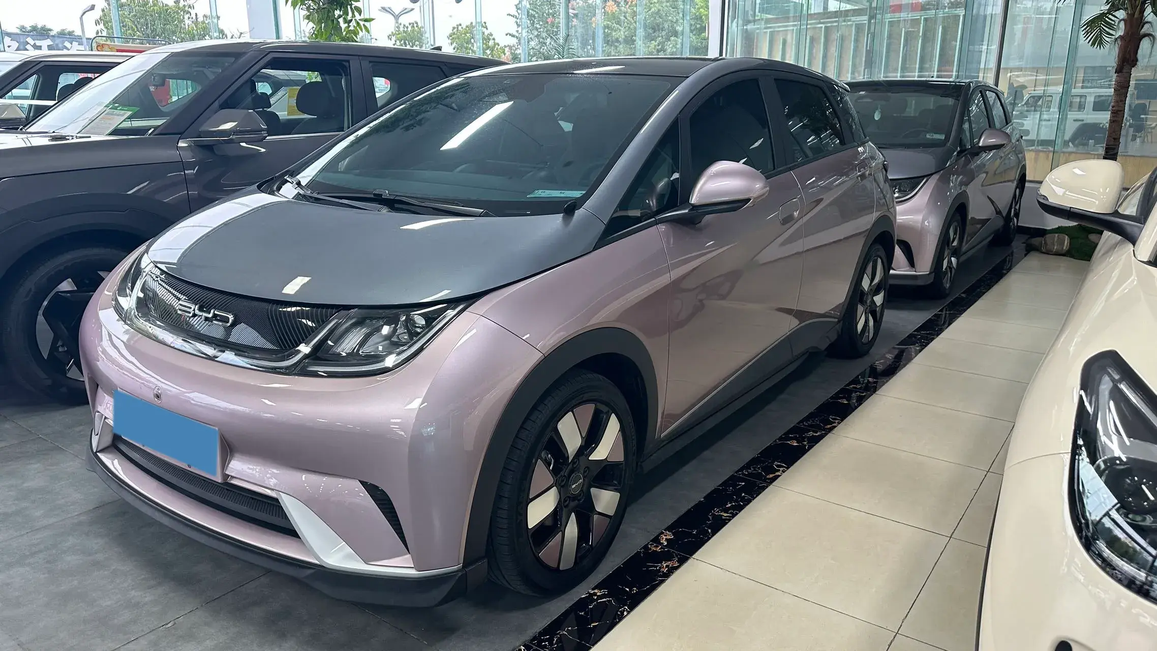 2021 BYD DOLPHIN view 1