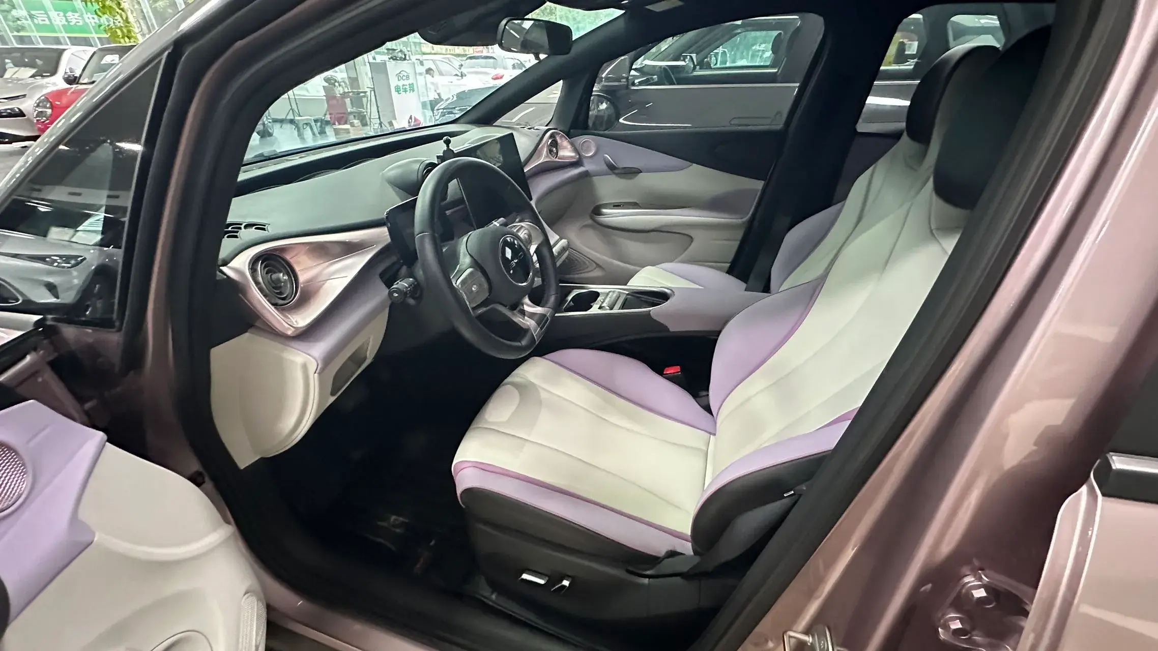 2021 BYD DOLPHIN thumbnail 4