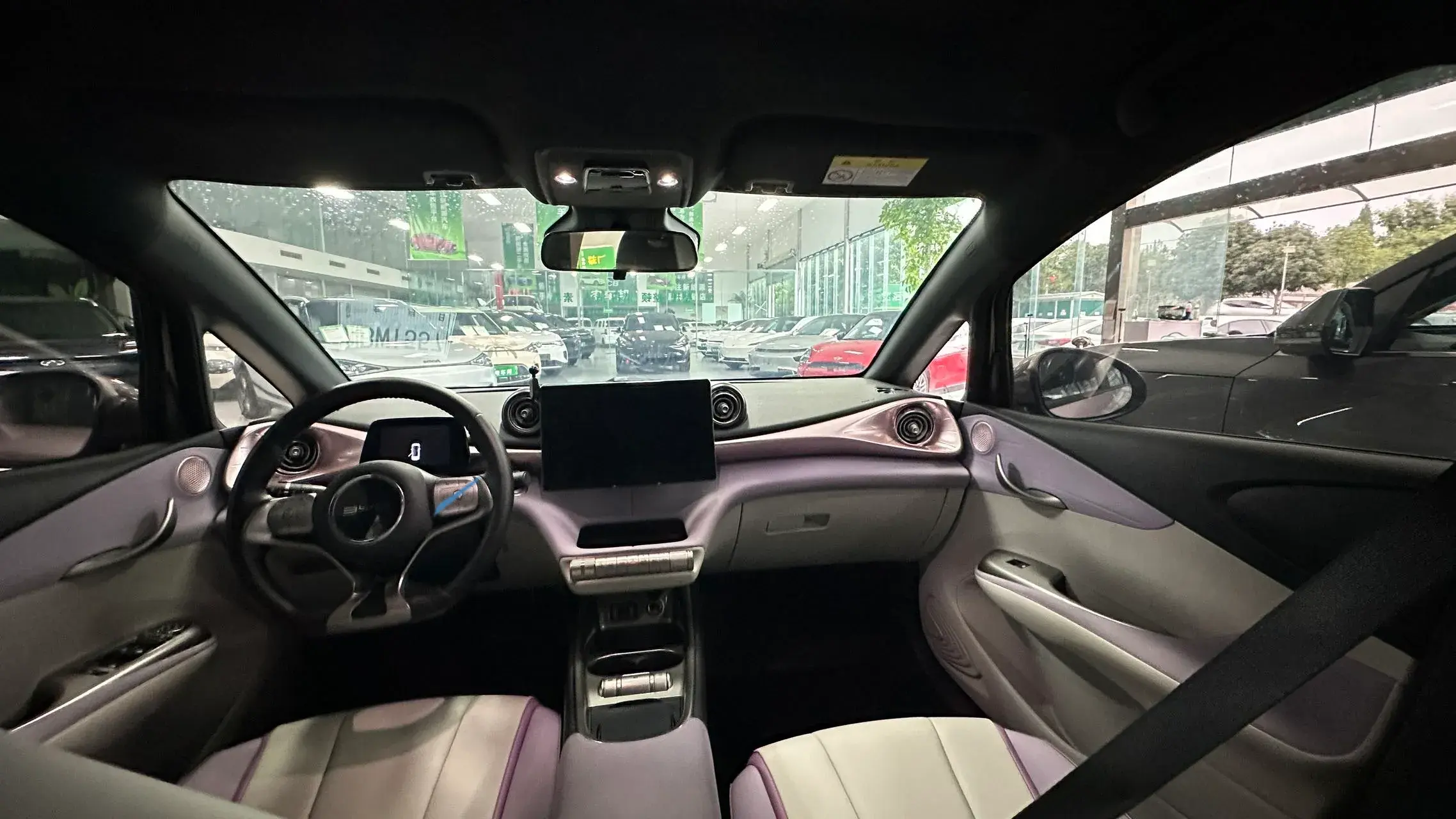 2021 BYD DOLPHIN thumbnail 2