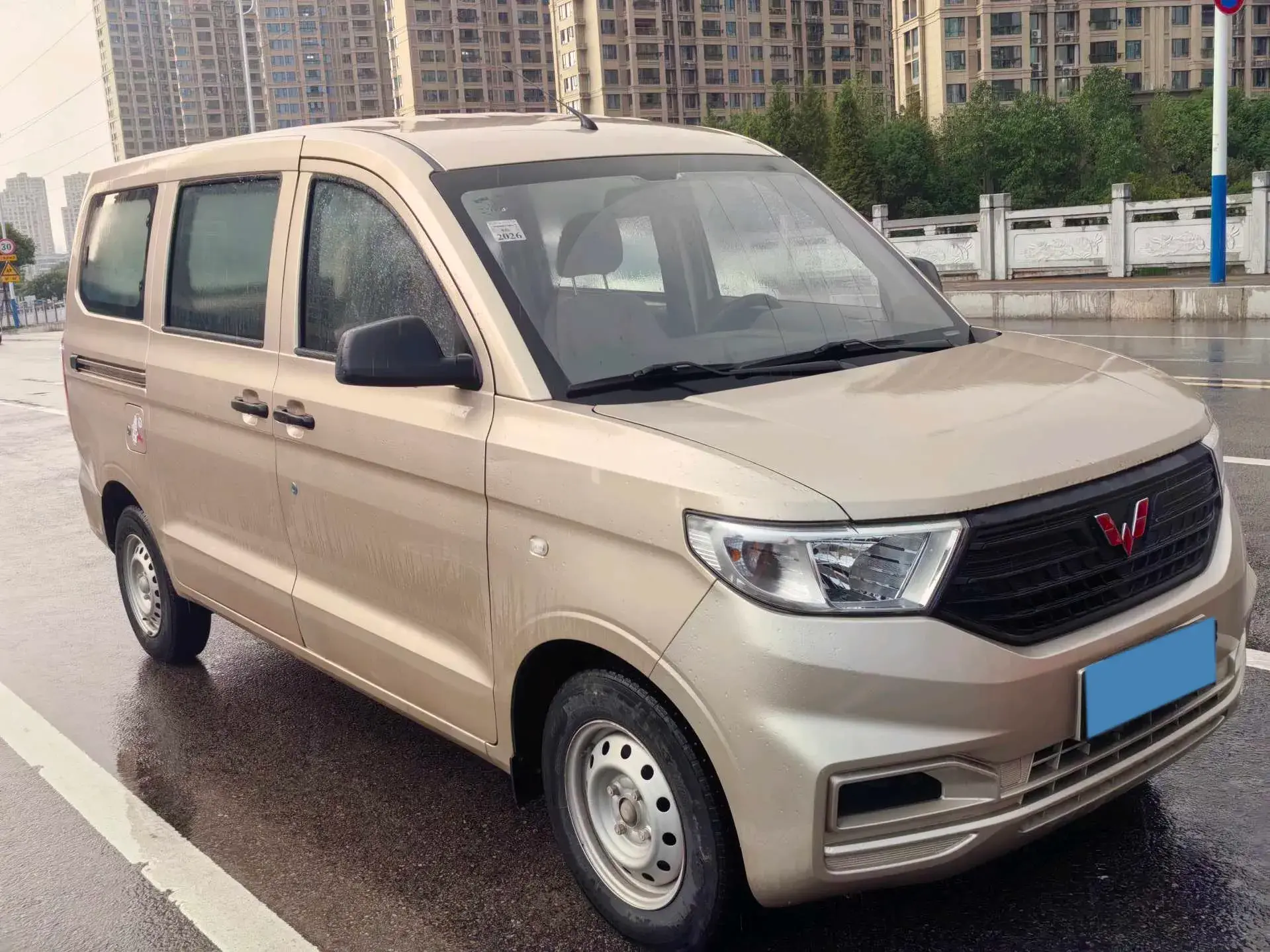 2019 WULING HONGGUANG thumbnail 2