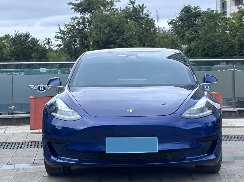 2020 TESLA MODEL thumbnail 2