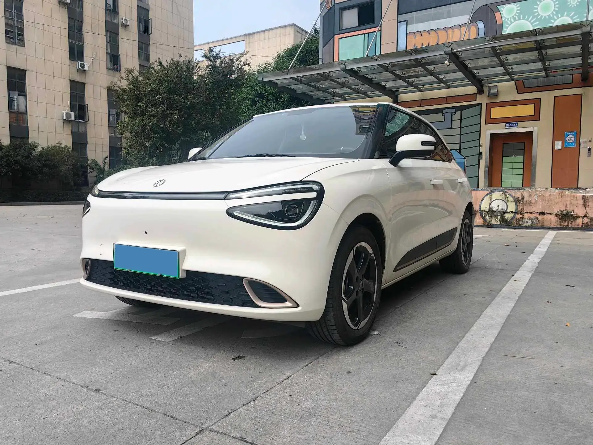 2024 DONGFENG NAMMI view 1
