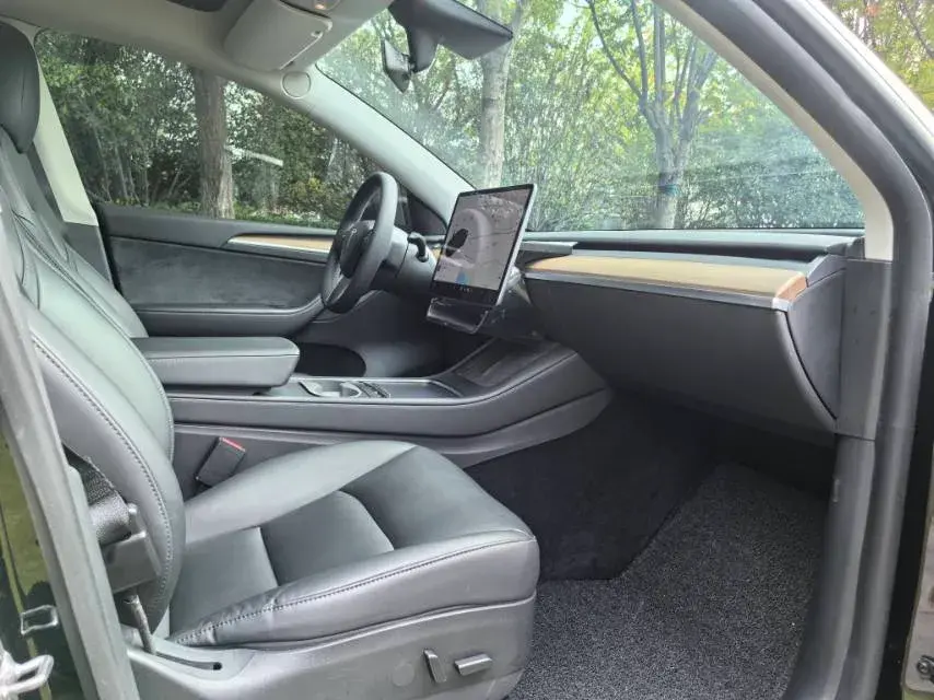 2021 TESLA MODEL thumbnail 4