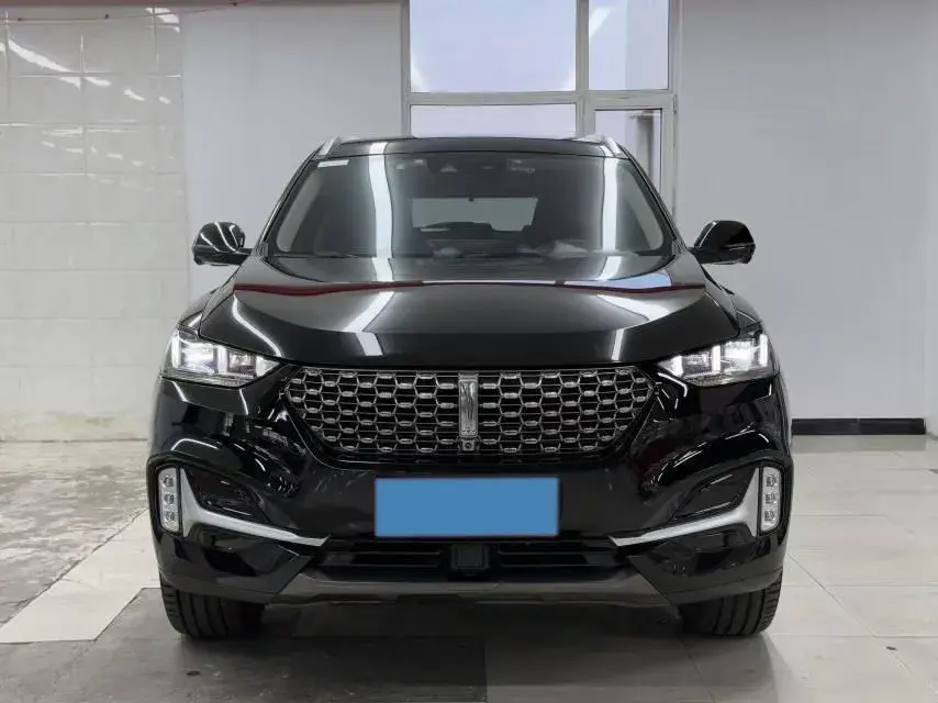 2021 WEY VV6 thumbnail 2