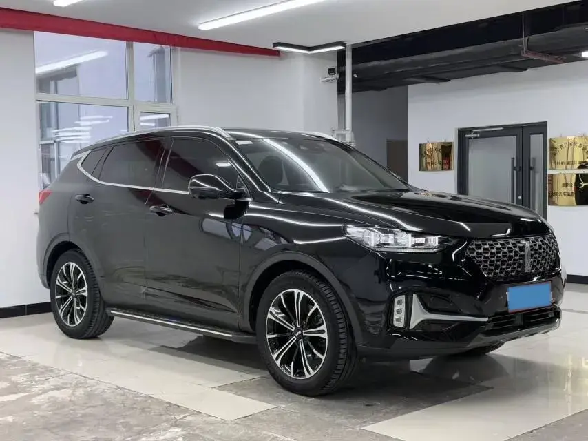 2021 WEY VV6 thumbnail 3