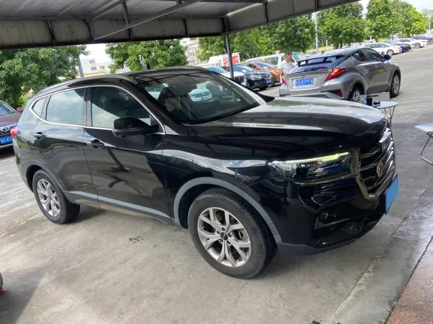 2021 HAVAL H6 thumbnail 2