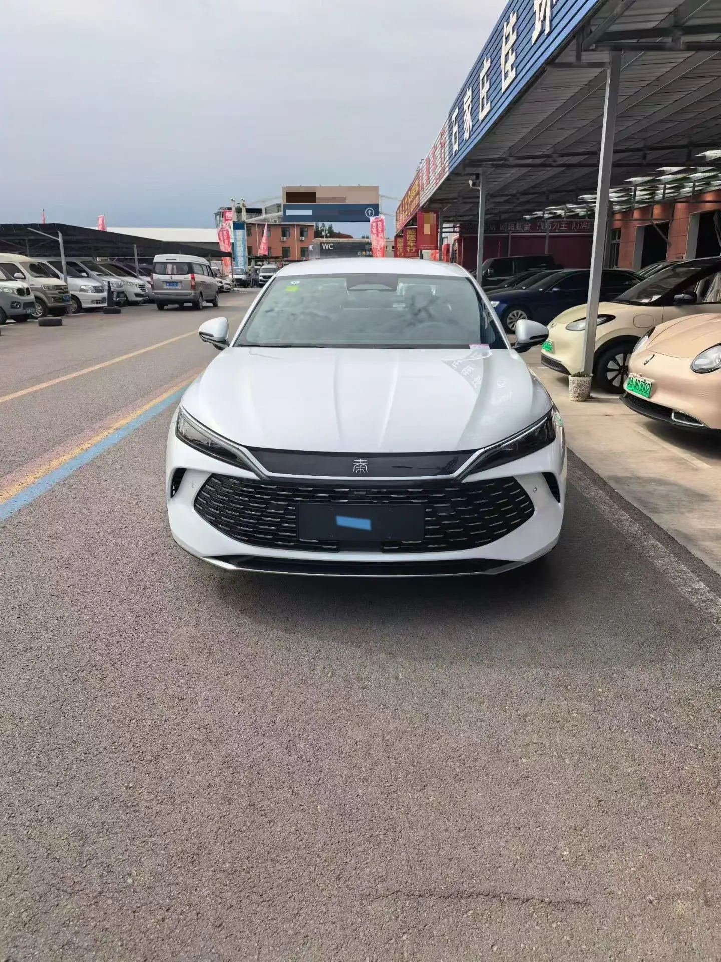 2025 BYD QINL thumbnail 2