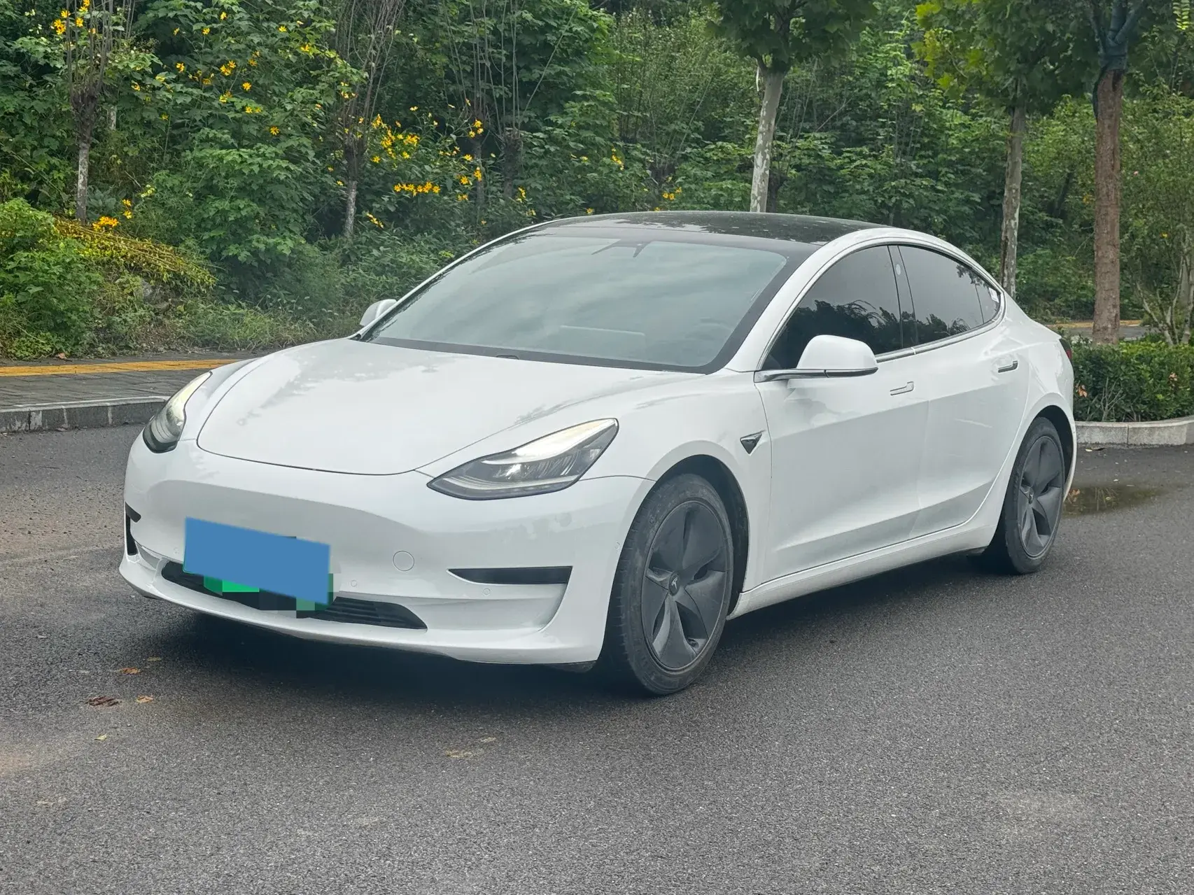 2020 TESLA MODEL view 1
