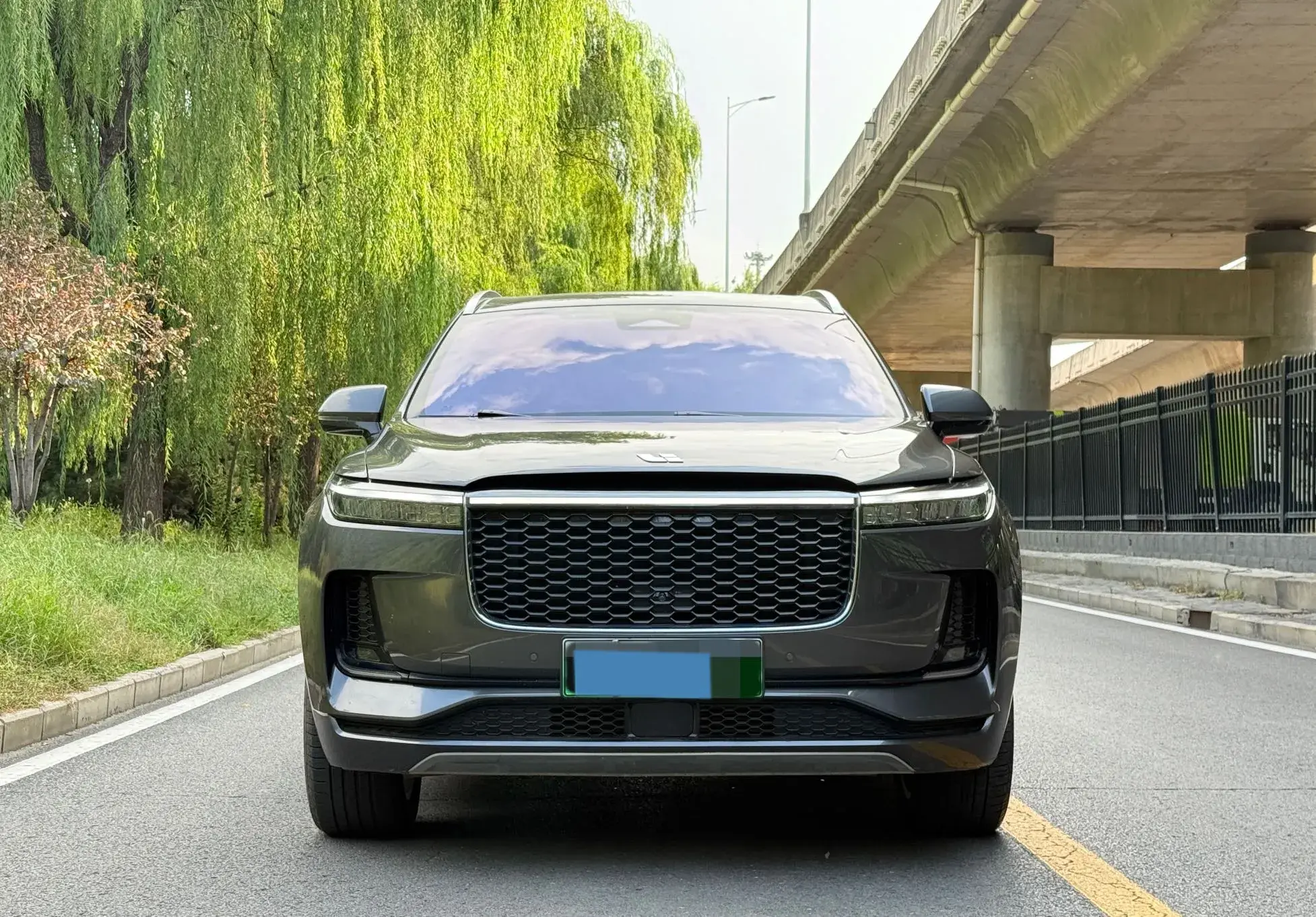 2021 LI ONE thumbnail 2