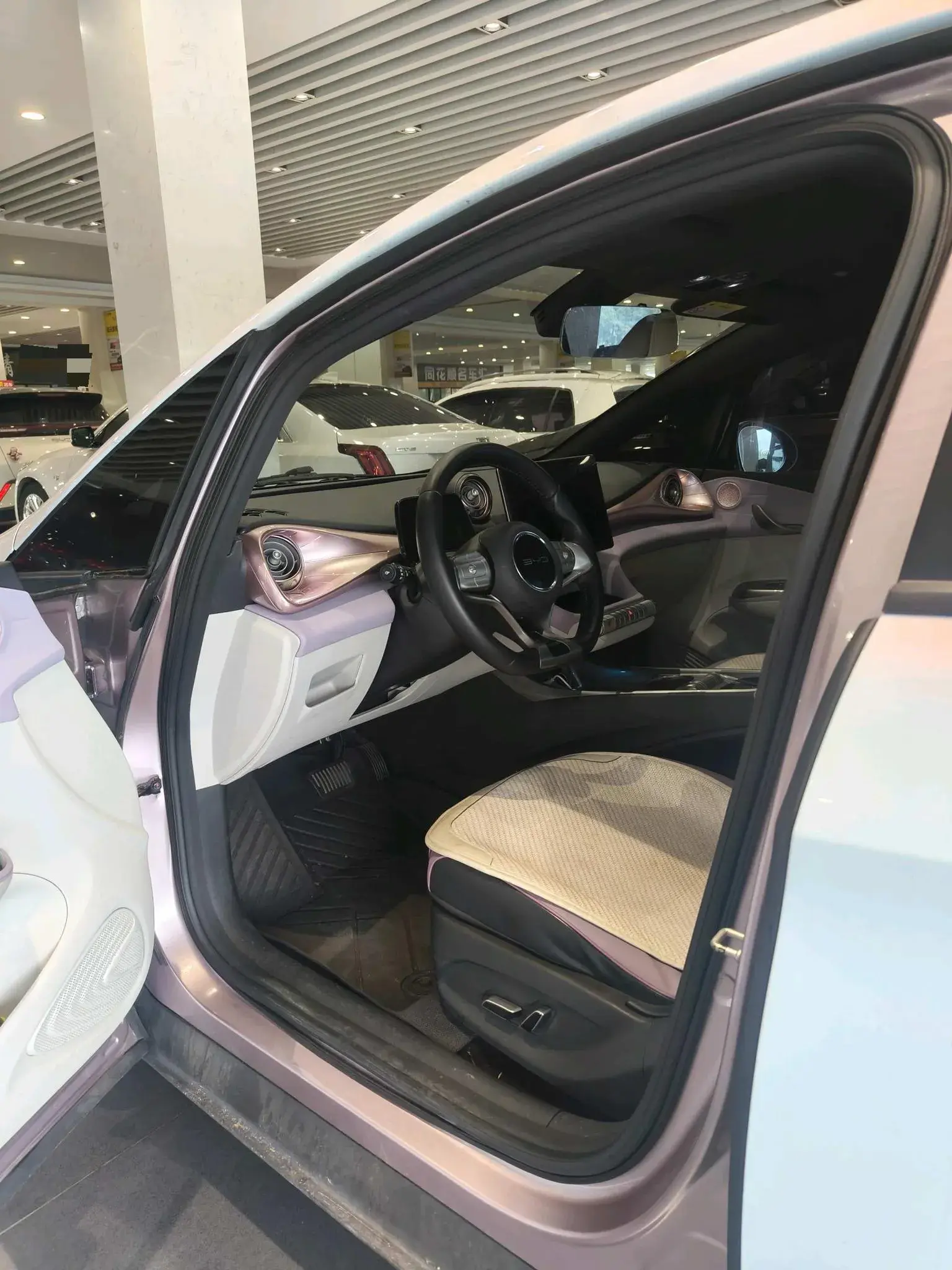 2021 BYD DOLPHIN thumbnail 2