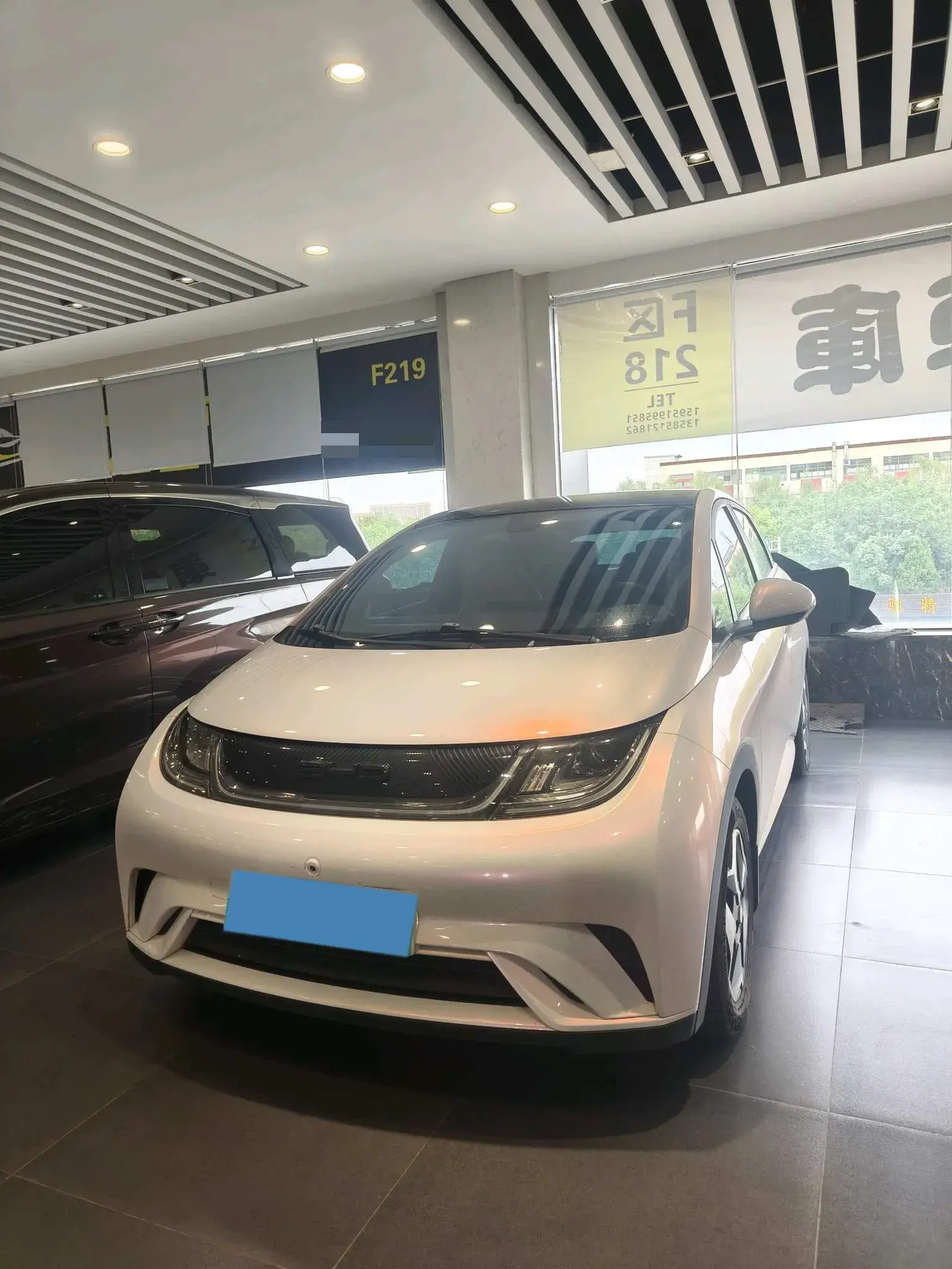 2021 BYD DOLPHIN view 1