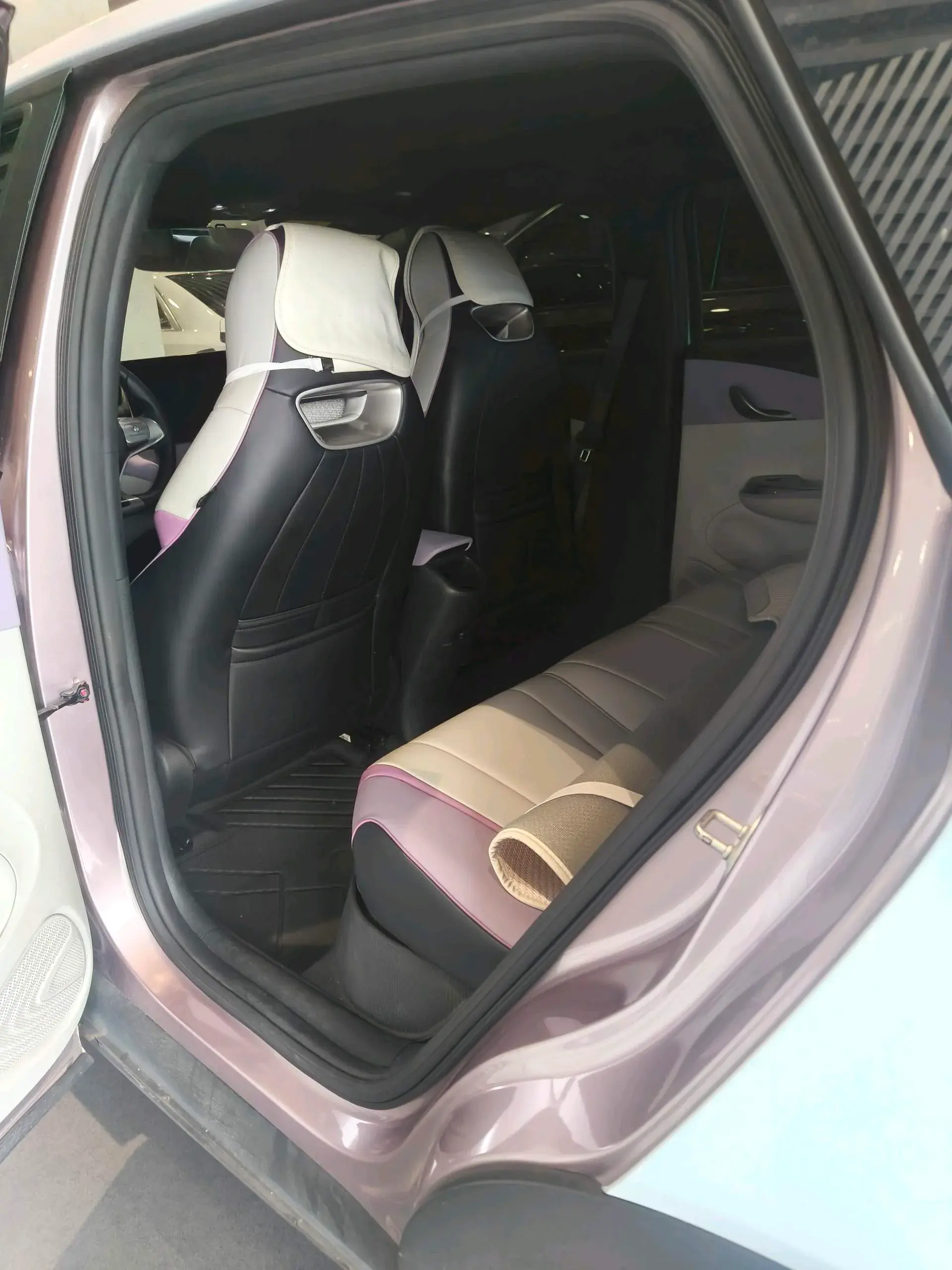 2021 BYD DOLPHIN thumbnail 4